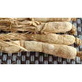 Free Sample Bulk  Ginseng Root Price Bulk Panax Ginseng